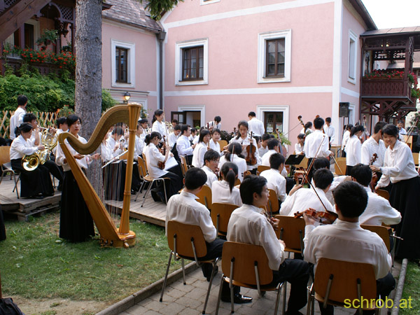 PICT6878