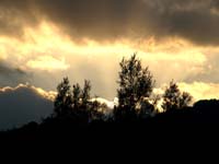PICT8670