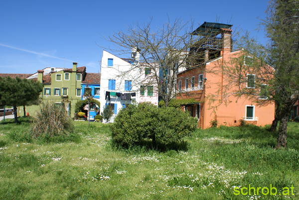 DSC01685