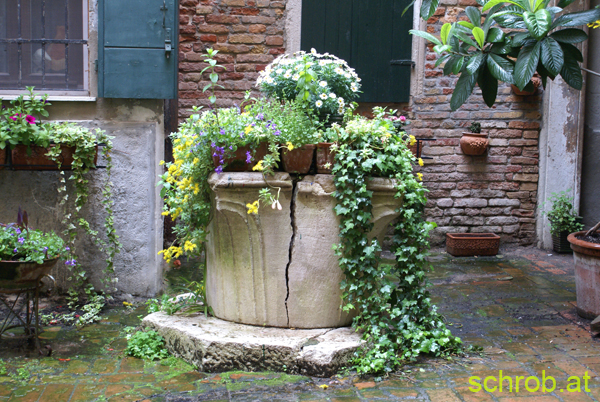 DSC01823