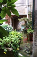 DSC01825