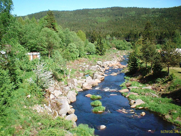 Bild 006