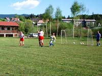 Bild 045