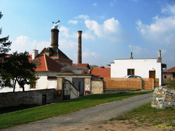 d11